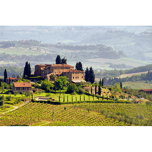 Wine-tasting tour in Tuscany