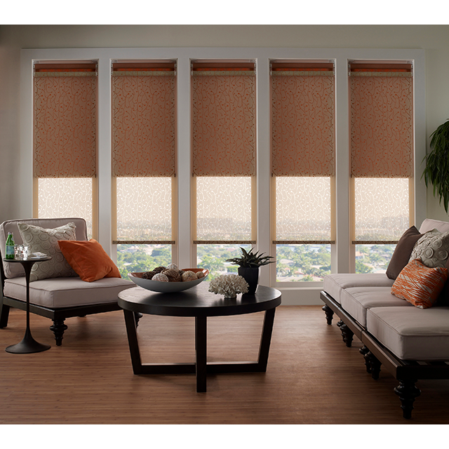 Window Shades for our Living Room