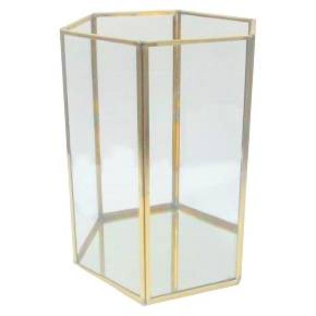 Terrarium Medium Gold - Threshold™