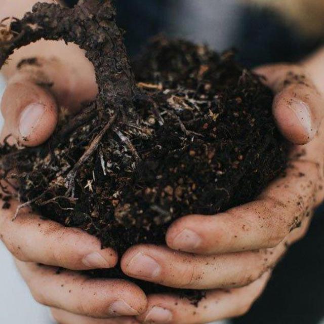 Residential Composting Pickup Service