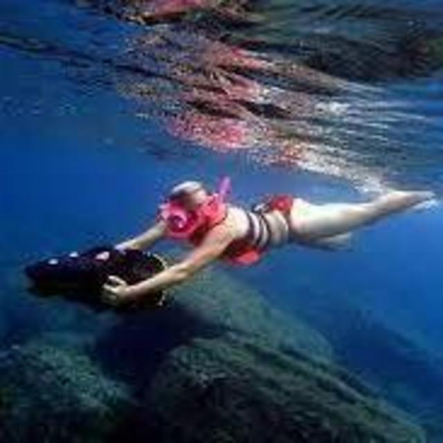 Honeymoon Excursion- Speedboat and Power Snorkel St. Lucia