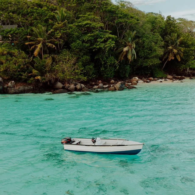 Boat Picnic