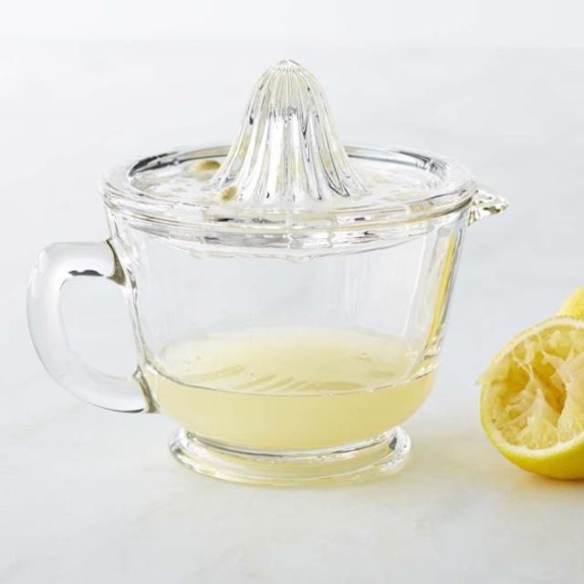Glass Citrus Juicer