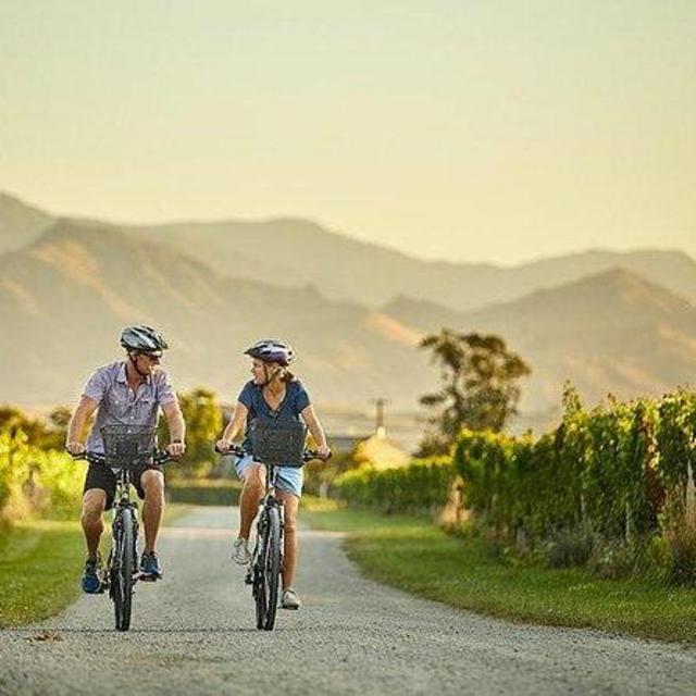 Marlborough Wine Region Bike Rental