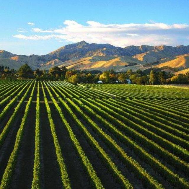 St. Clair Vineyards Tasting