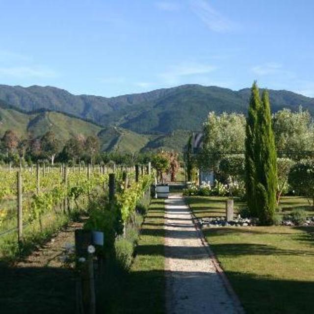Hans Herzog Estate Private Tasting and Tour