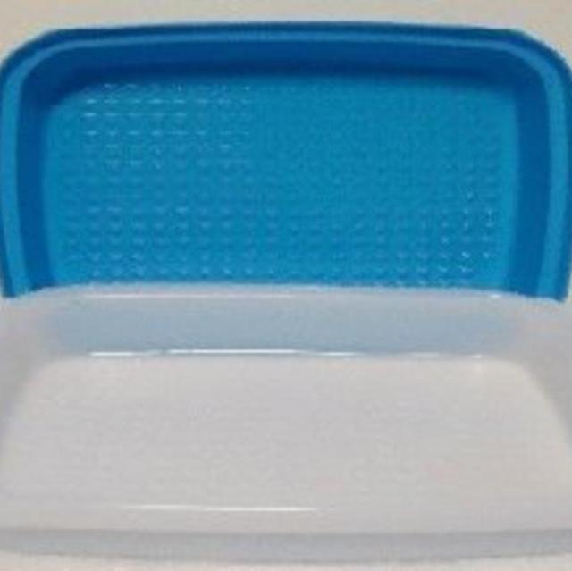 Tupperware Large Season Serve Blue