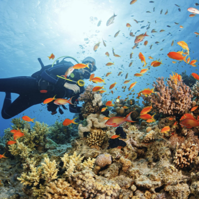 Scuba Diving for Two