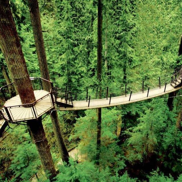 Capilano Suspension Bridge - Canada