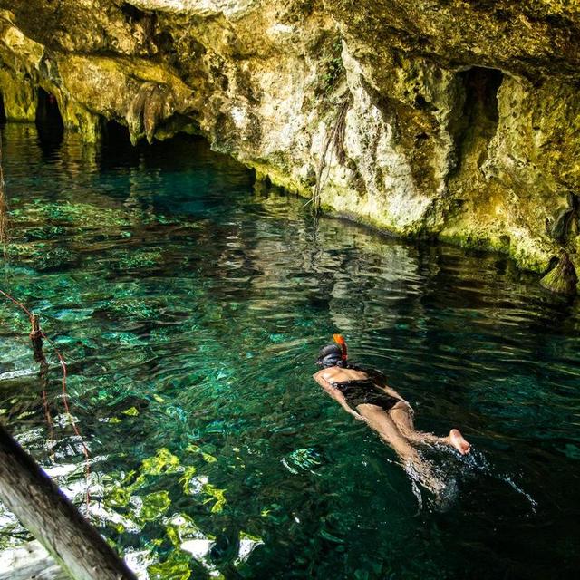 Gran Cenote: Cave Snorkeling