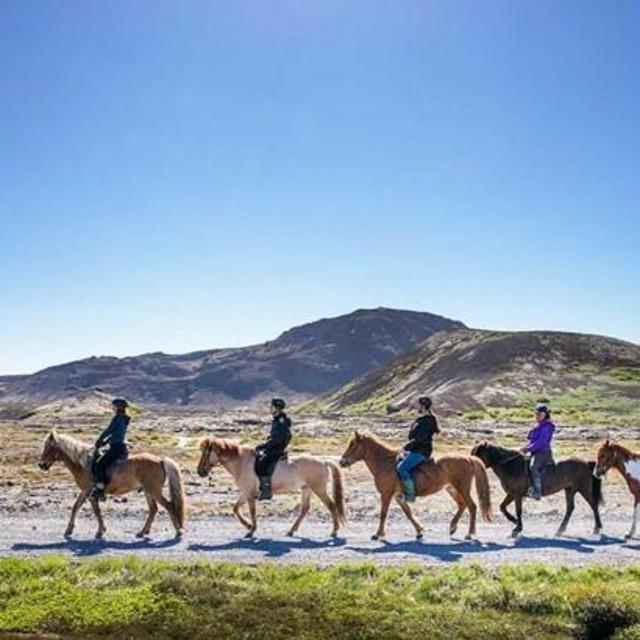 Horseback Riding