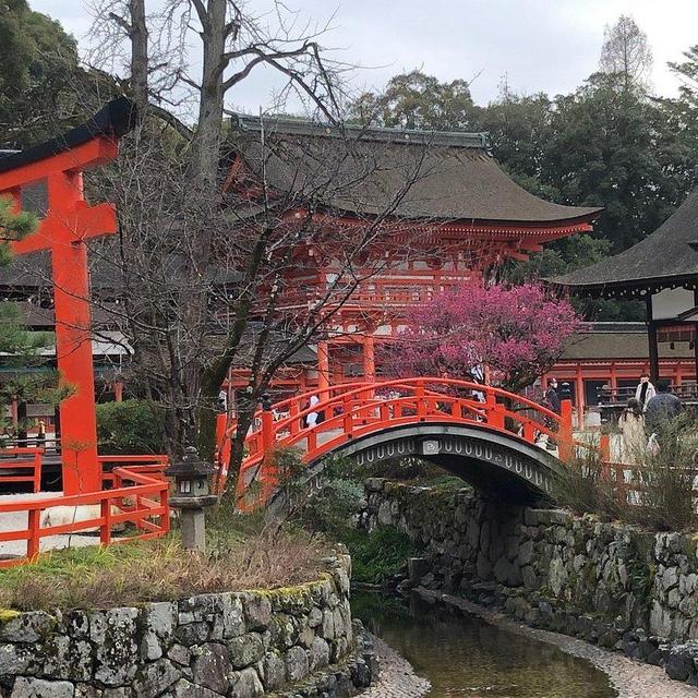 1 Night in Kyoto