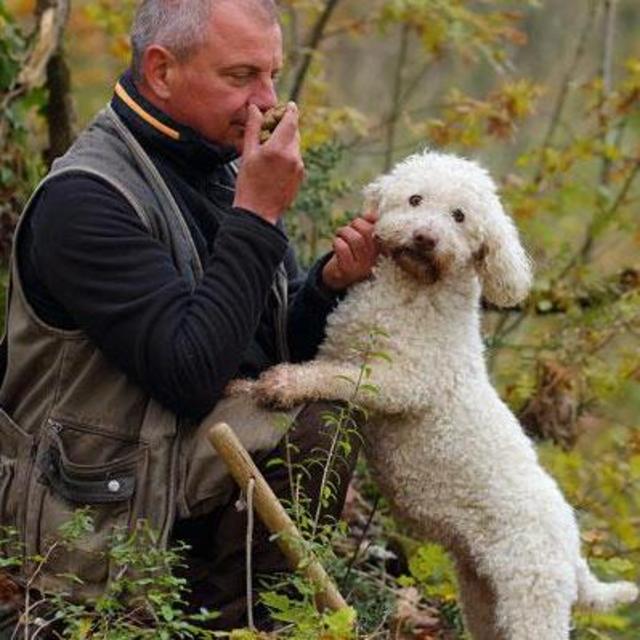 Truffle Hunting + Cooking Class, Italy