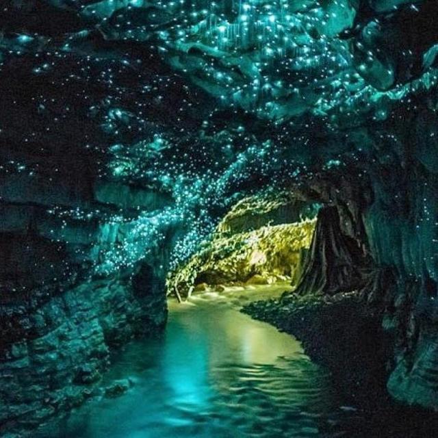 Glow Cave Adventure on our Honeymoon