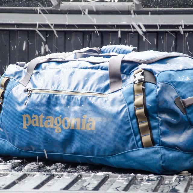 Patagonia Black Hole™ Duffel 60L