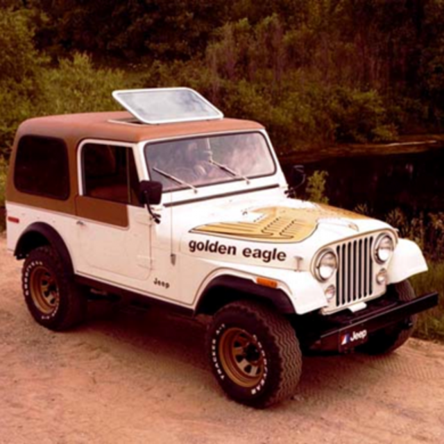 Car Rental