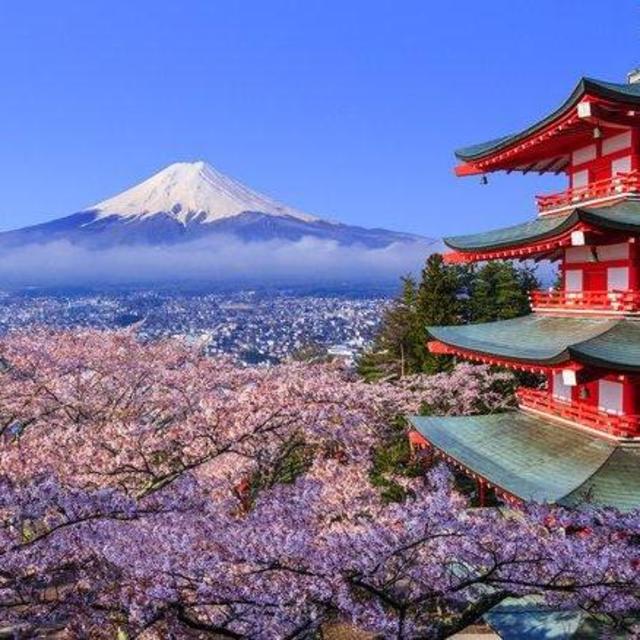 Honeymoon Fund- Japan 2021