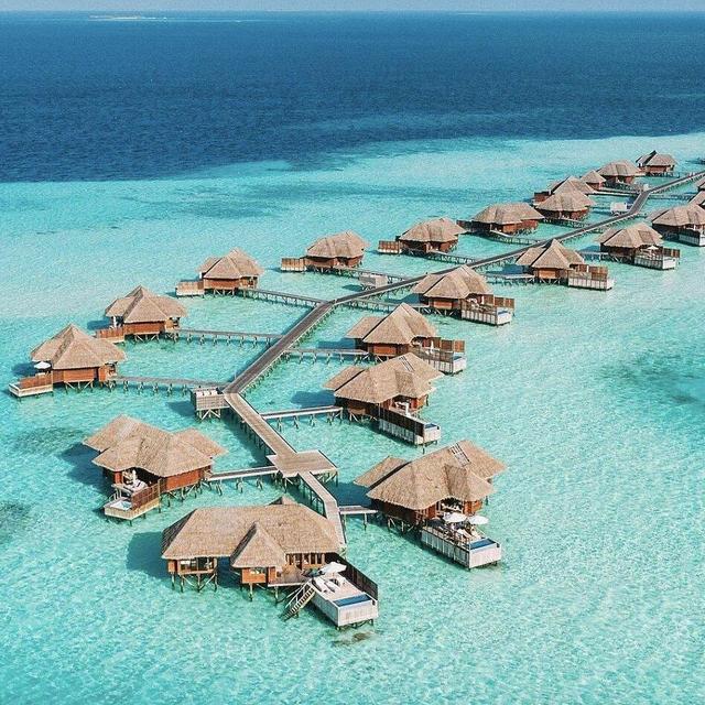 Honeymoon Fund