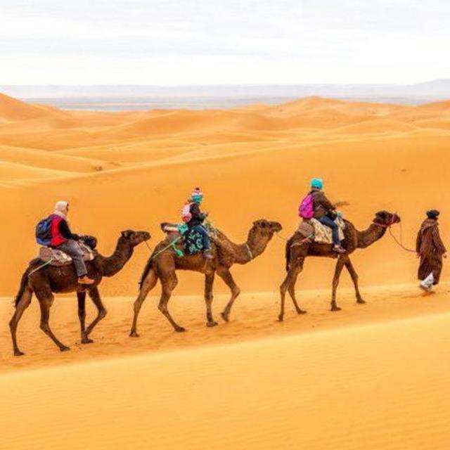 Camel Riding Excursion on Honeymoon