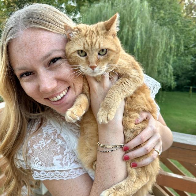Donate to a Nashville Cat Rescue