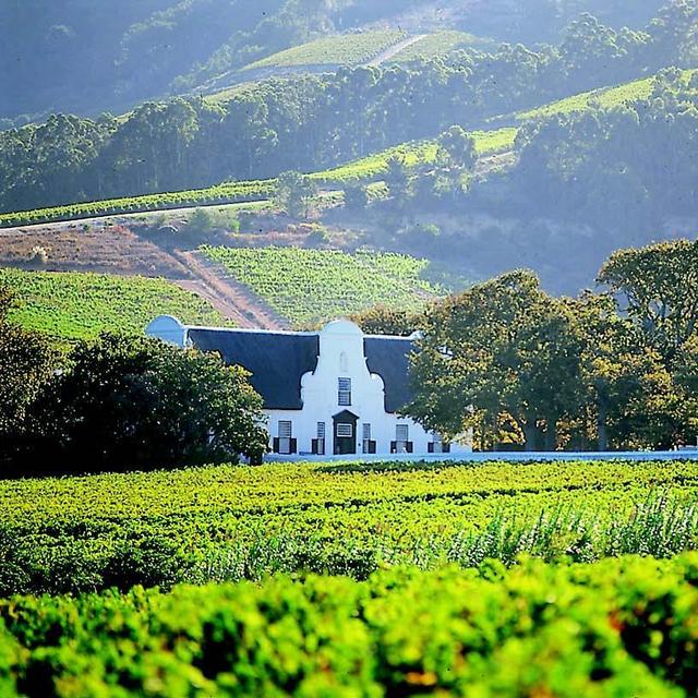 South African Wine country