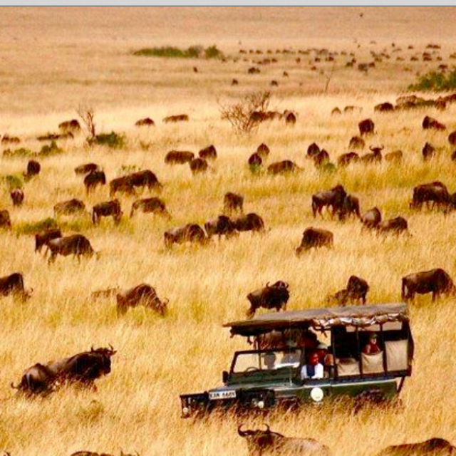 Full Day Serengeti Safari for two!