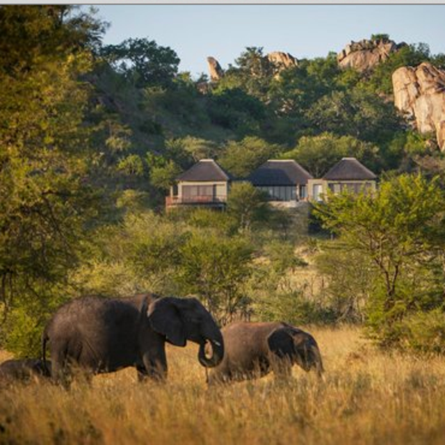 Four Nights at The Lodge - Serengeti Nation Park Tanzania