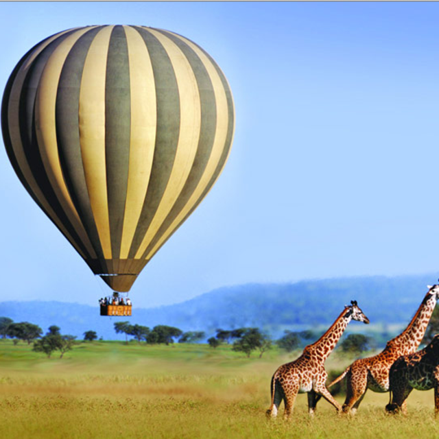 Serengeti Hot Air Balloon Ride