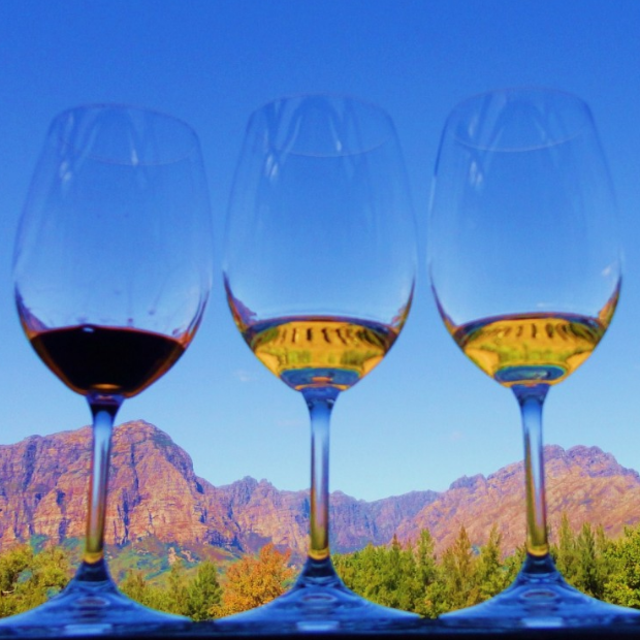 Wine Tasting South African Style