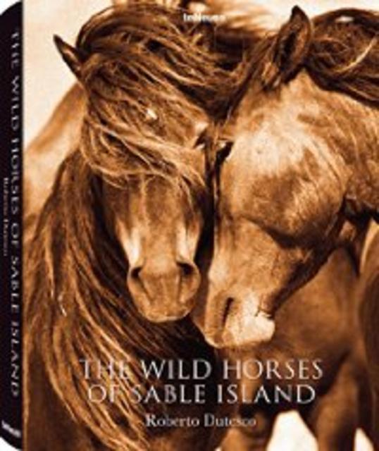 The Wild Horses of Sable Island book
