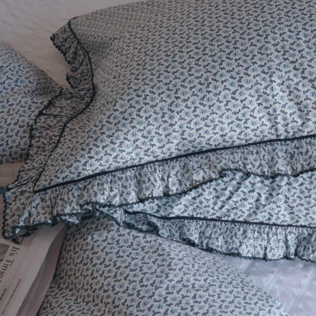 SET OF 2 DOEN SHAMS