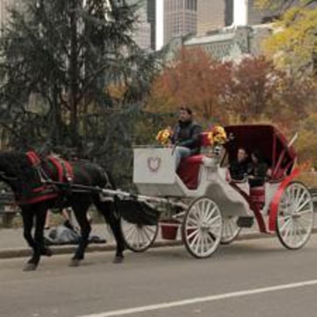 Personal Carriage ride through Central Park