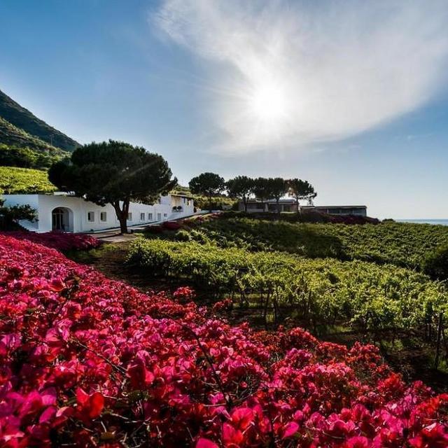 Stay in Salina, Sicily for our Honeymoon