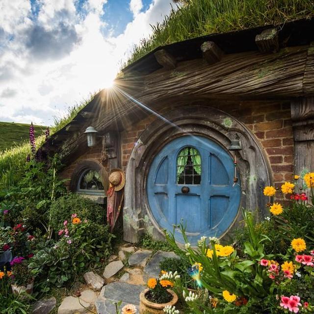 Hobbiton and Waitomo Cave Day Trip