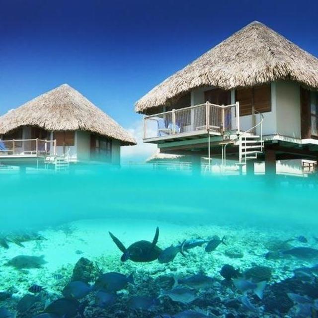 Honeymoon Fund - New Zealand and Tahiti