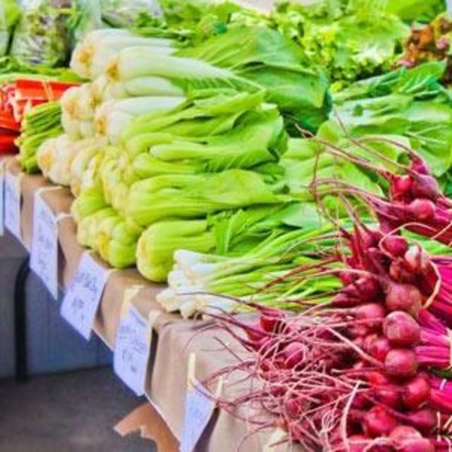 Flathead Lake - Missoula Farmer's Market: 3003 - 3078