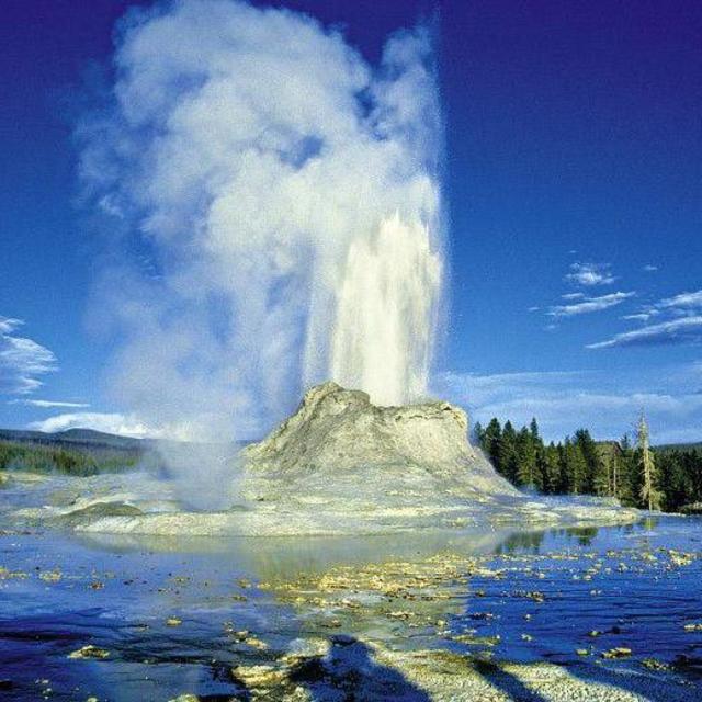 Yellow Stone National Park: Old Faithful, Geyser Country, Lamar Valley
