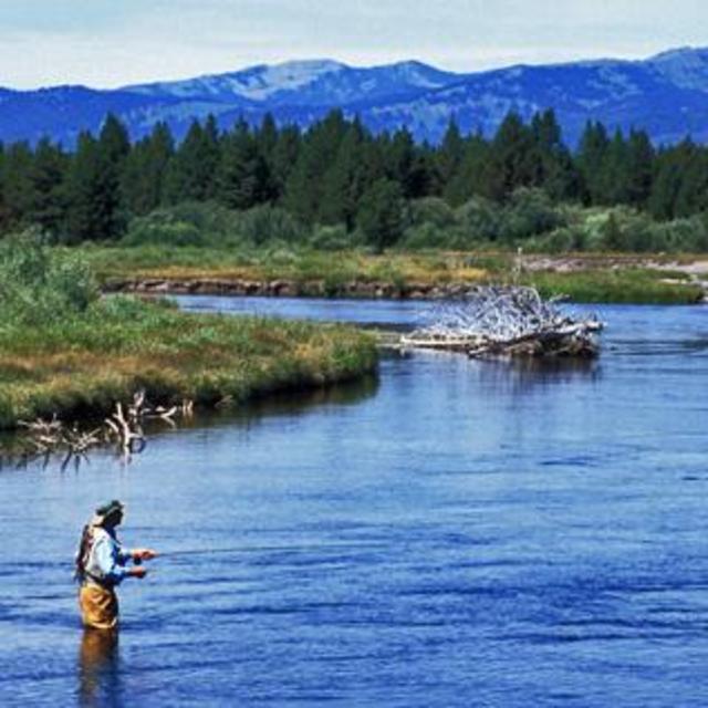 Yellowstone National Park: Fishing Adventure