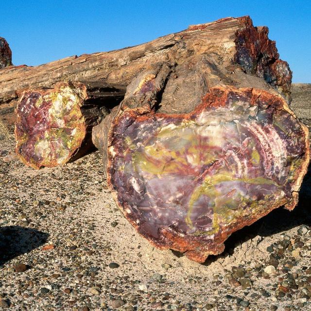 Painted Desert - Petrified Forest National Park: Meile 5089 - Meile 5146