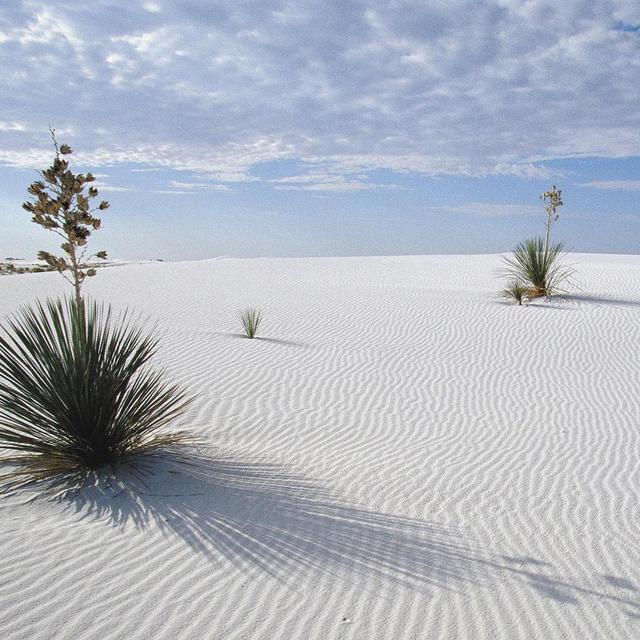 Santa Fe - White Sands National Monument: Meile 5656 - Meile 5923