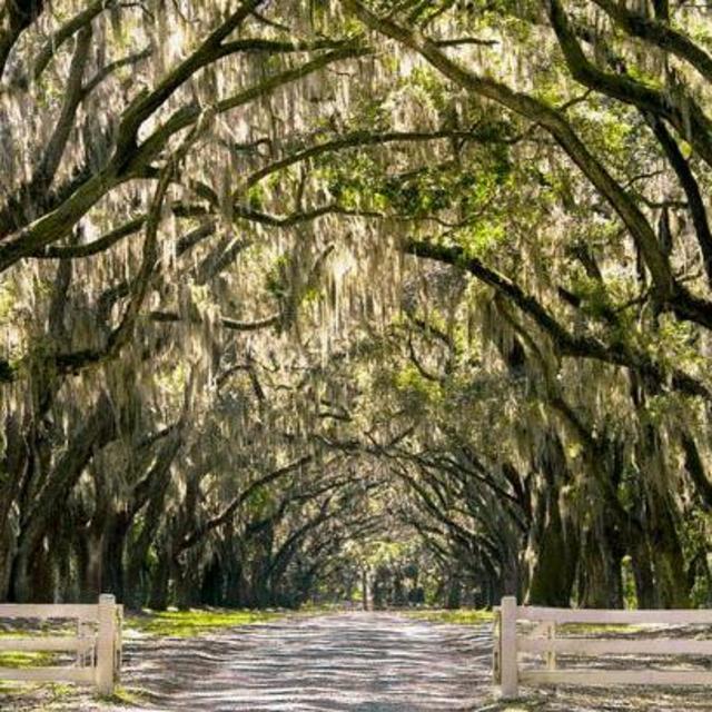BBQ Country - Savannah: Meile 7822 - Meile 7922