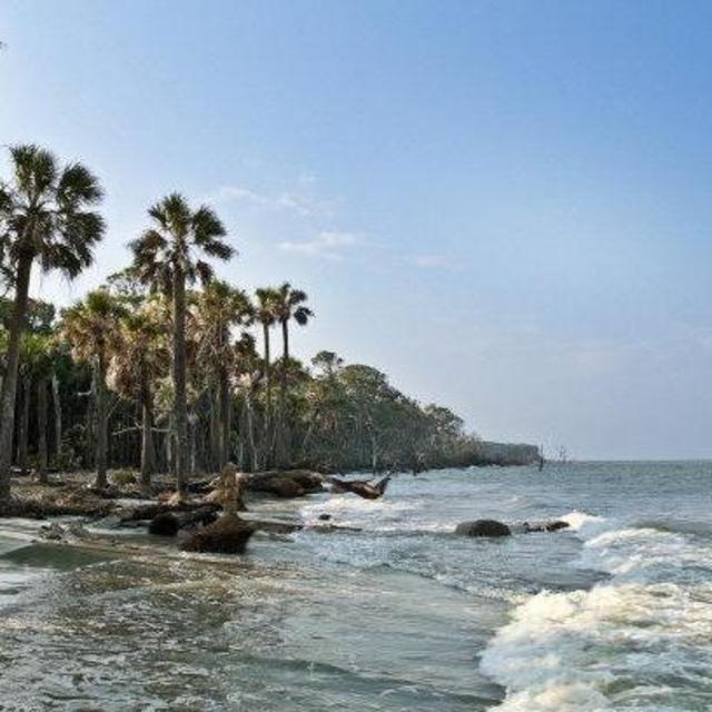 Savannah - Hunting Island State Park: 7922 - 7982