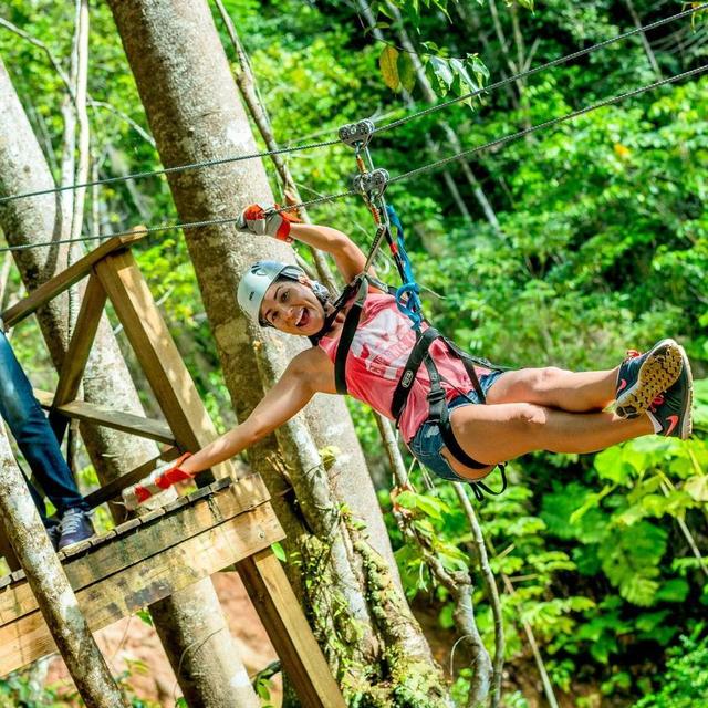 Treetop Zip Trip