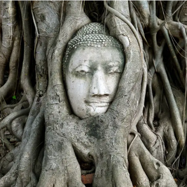 Excursión Privada Ayutthaya
