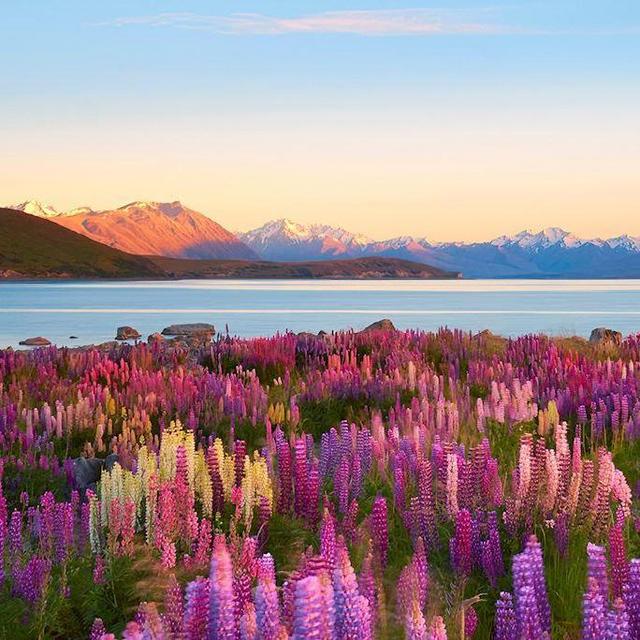New Zealand/Australia Honeymoon Fund