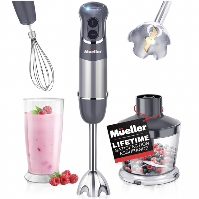 Immersion Blender