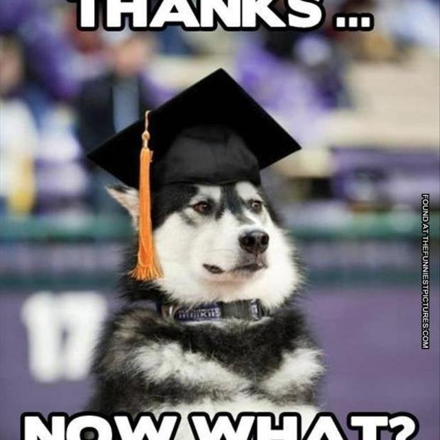 Student Loans