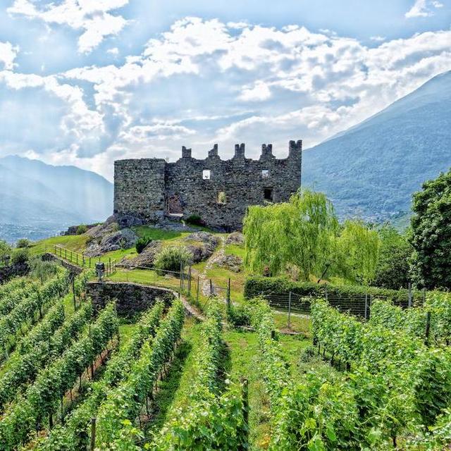 Vineyard Tour of Valtellina