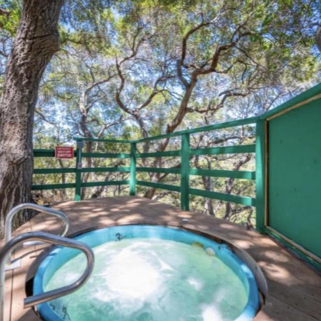 Sycamore Springs Weekend