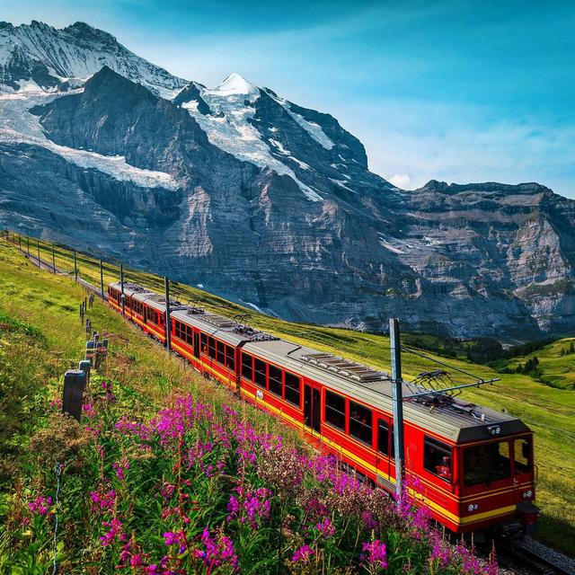 Swiss Train Ride (Honeymoon)